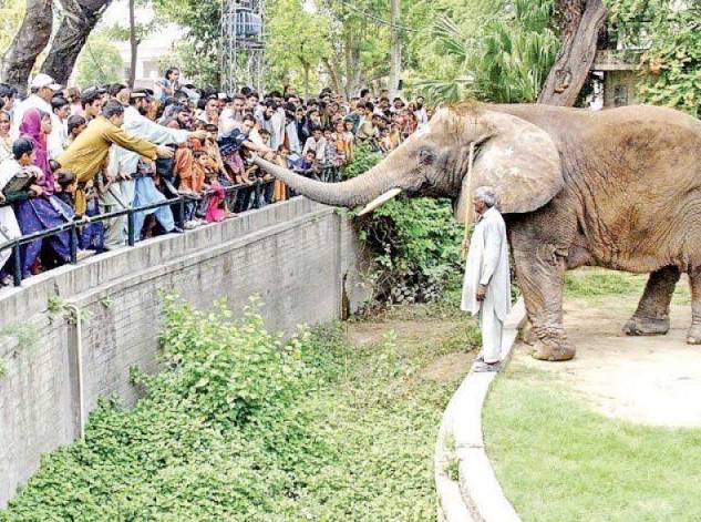 Punjab Wildlife Dept earns Rs30 million during Eid holidays