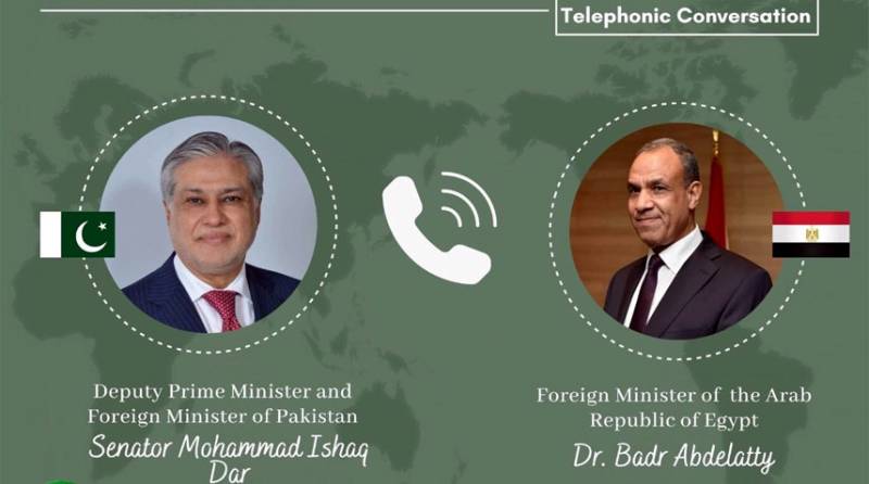 DPM, Egyptian FM discuss evolving regional situation