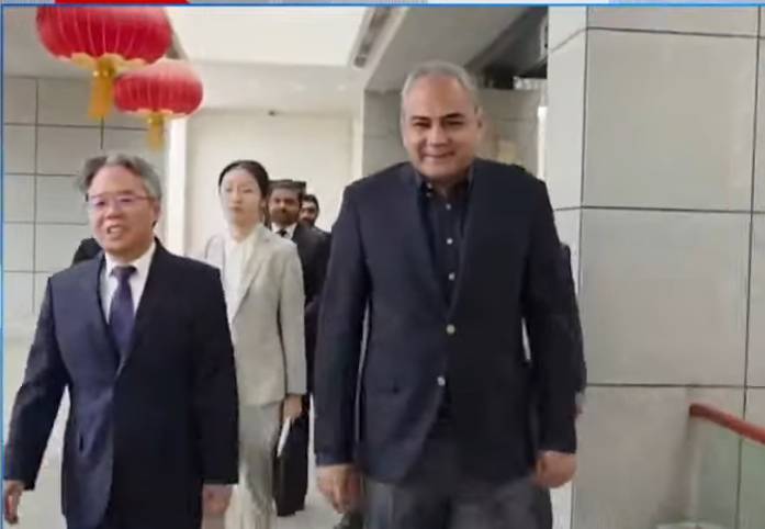 Special Unit to be formed for security of Chinese citizens, says Mohsin Naqvi
