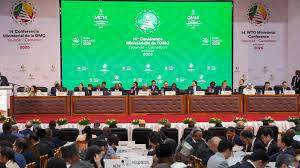Minimal agreement on WTO reform in sight in Yaounde