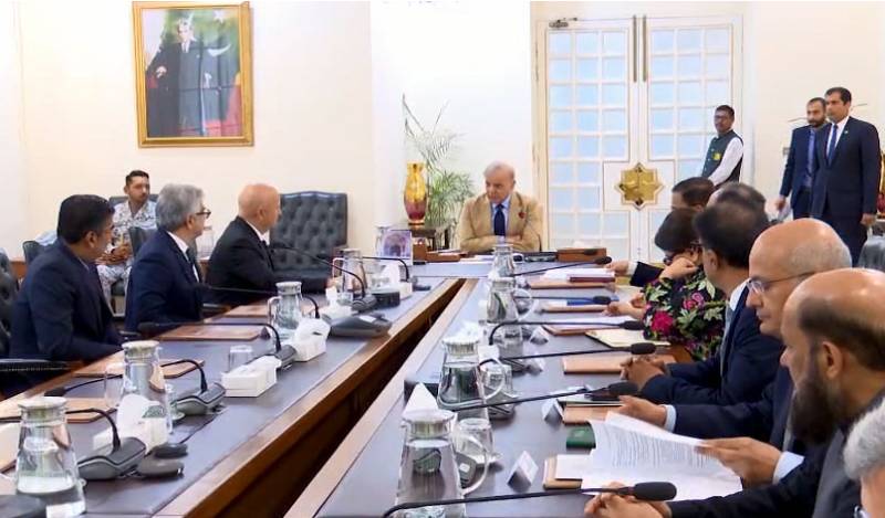 PM Shehbaz says govt is committed to facilitating IT global investors