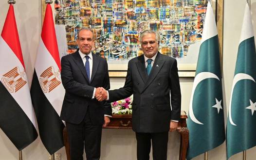 Egypt FM praises Pakistan-China five-point initiative to promote dialogue