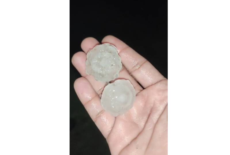 Rains, hailstorm hit wheat crops, mango orchards in Multan 
