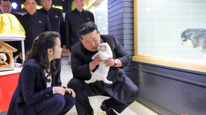 North Korea's Kim pets puppies, kittens at Pyongyang pet shop