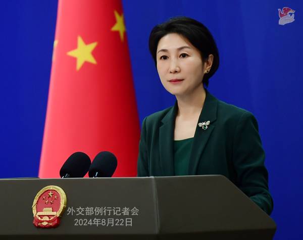 Pakistan, Afghanistan peace talks are advancing steadily: China