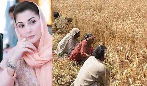 Punjab CM announces relief package for farmers