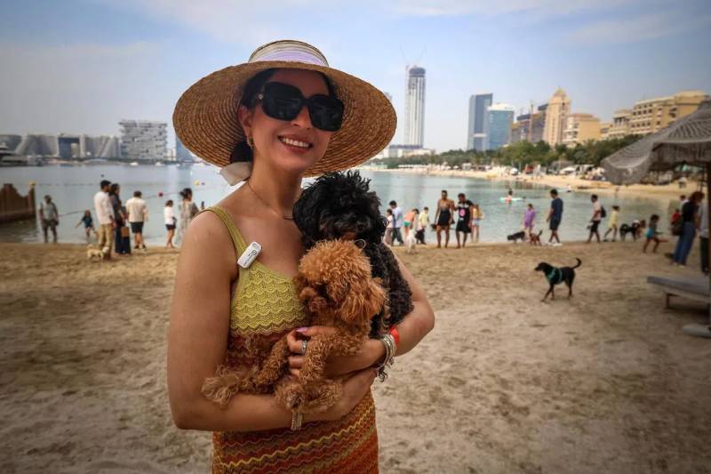 Dubai dog lovers revel regardless of Mideast war