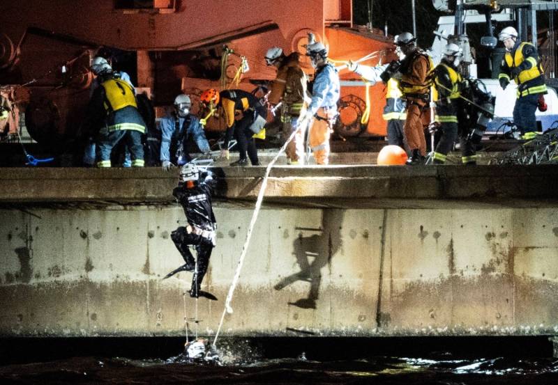 Two dead after 40-metre scaffold collapses in Japan