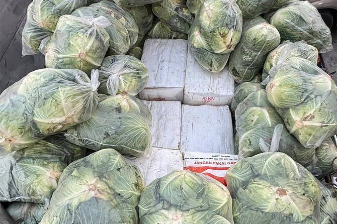 Thai police seize 1.6 tonnes of drugs hidden under cabbages