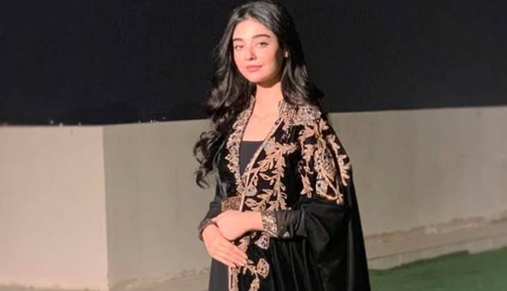 Noor Zafar Khan showcases traditional desi look