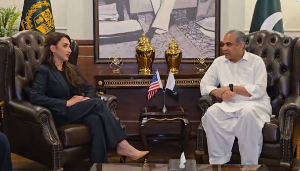 Naqvi briefs US envoy on beefed-up security for foreign dignitaries