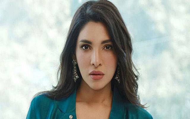 Zhalay Sarhadi condemns stray dog killing drive as ‘inhumane’