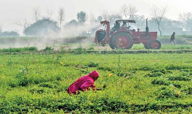 The Paradox of Change in Agriculture
