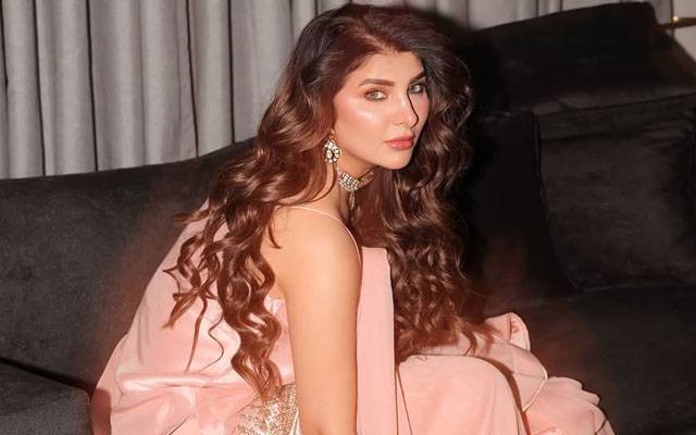 Areeba Habib melts hearts with wholesome sibling moment 