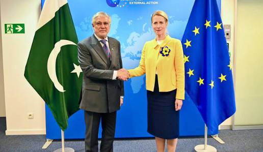 Ishaq Dar updates EU HRVP Kallas on Middle East talks