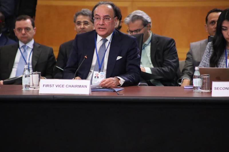 FinMin Aurangzeb calls for collective action at G-24 meeting