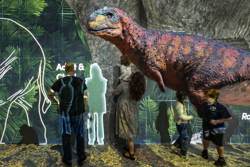 Jurassic art: fossils transformed into artwork at Amsterdam museum