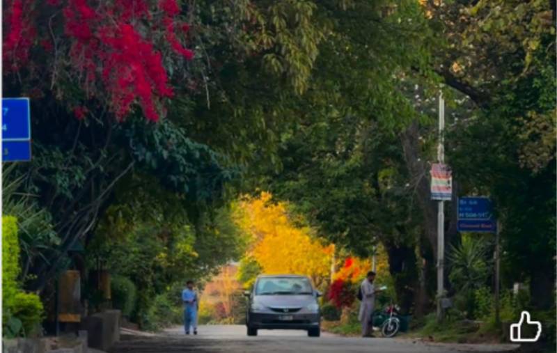 When Islamabad felt more like a garden