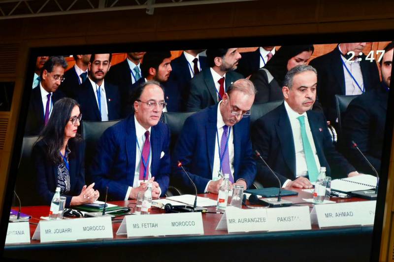FM Aurangzeb addresses IMF MENAP meeting, discusses economic challenges