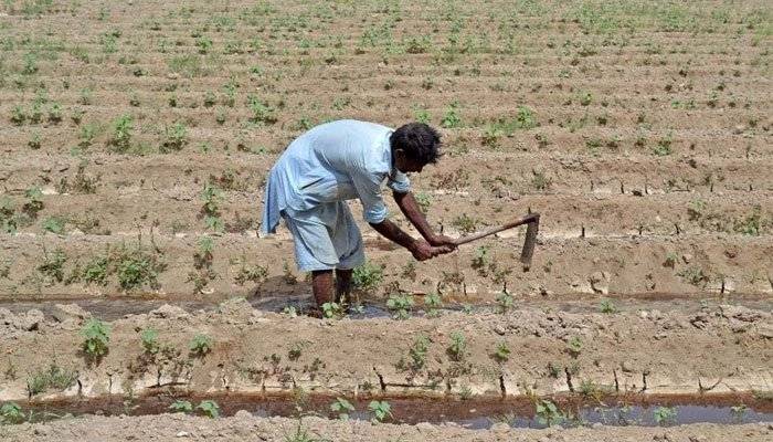 Govt announces subsidy programme for farmers in Islamabad