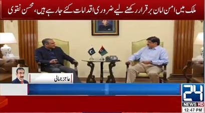 Naqvi meets Sindh CM and Chinese envoy, discusses security and investment
