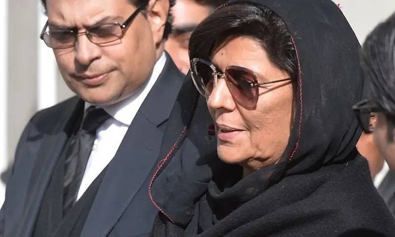 Salman Raja criticises Aleema Khan, dislikes her political strategy 