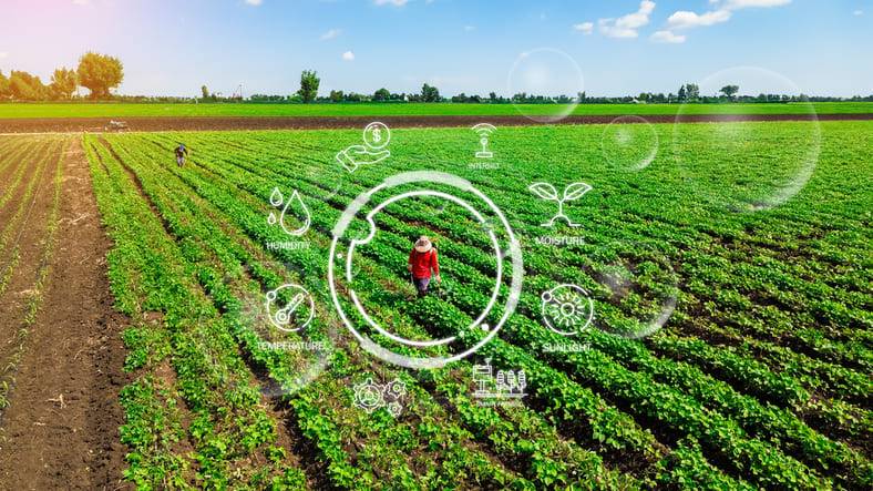 Sustainable agriculture and the risks we are not fully accounting for