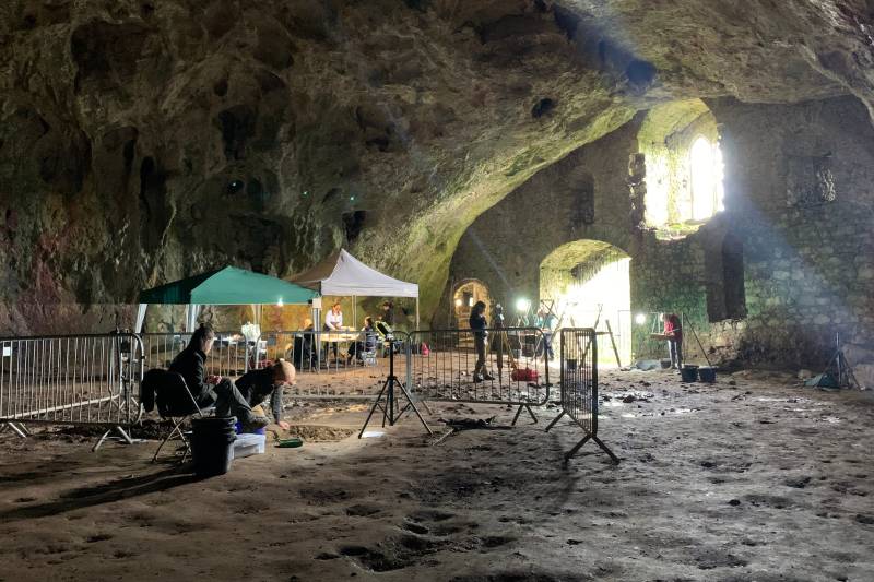 Hidden cave, hippo bones under Welsh castle may rewrite history