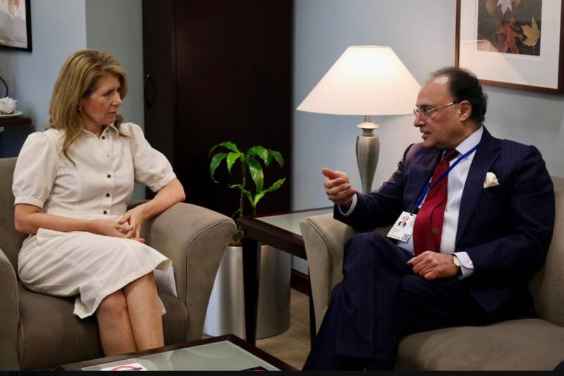 Pakistan, US mull cooperation in energy, minerals development