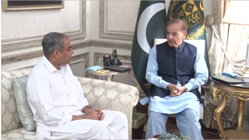 Interior Minister Naqvi meets PM Shahbaz in Lahore