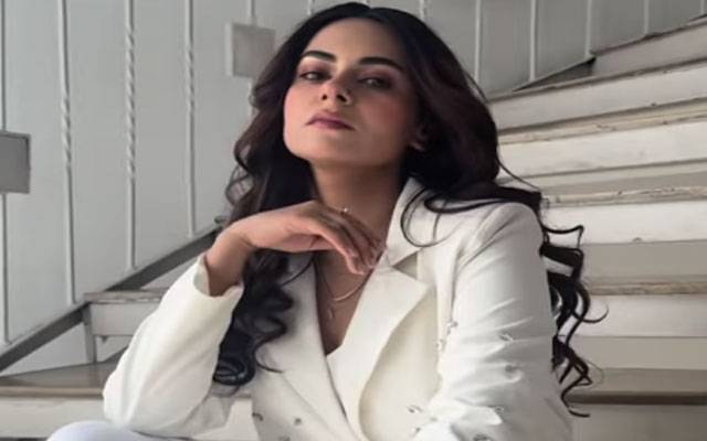 Amar Khan shares glam glimpses from star-studded dinner night