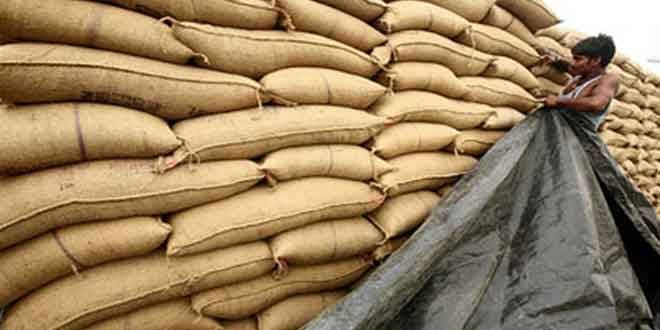 Sindh govt fails to achieve wheat purchase target