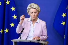 Fuel monitoring and wiggle room: EU unveils plans to tackle energy crisis