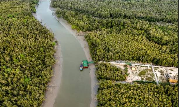 Pirate gangs prowl Bangladesh's Sundarbans forest