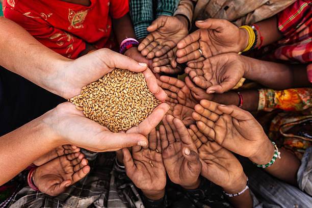 10 countries are home to two-thirds of world's most hungry: UN-backed report