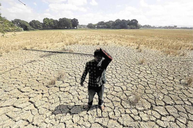 Warming El Nino set to return in mid-2026: UN