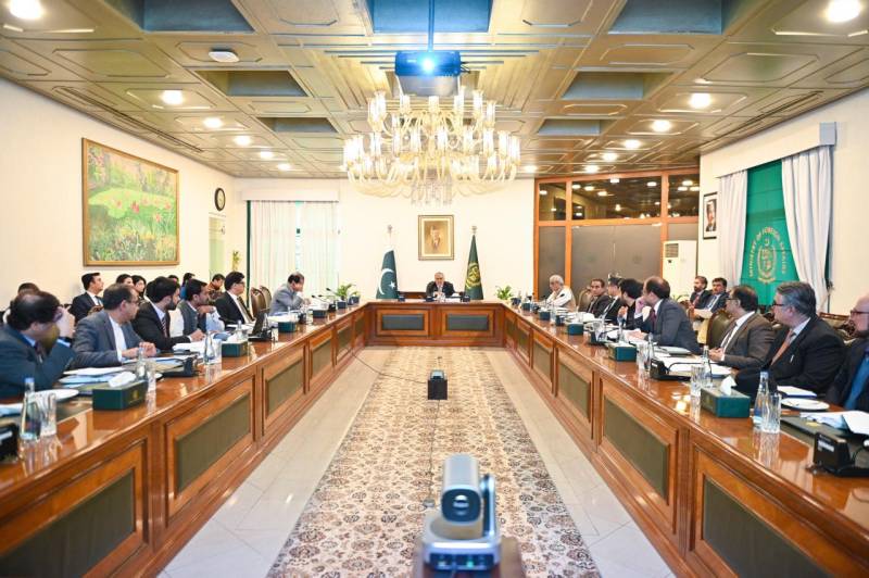 Pakistan reaffirms commitment to regional peace at high-level meeting