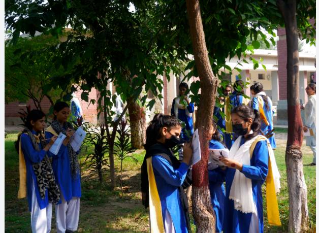 26,000 Punjab schools included in Green Programme