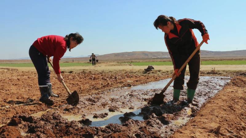 North Korea faces 'severe' drought