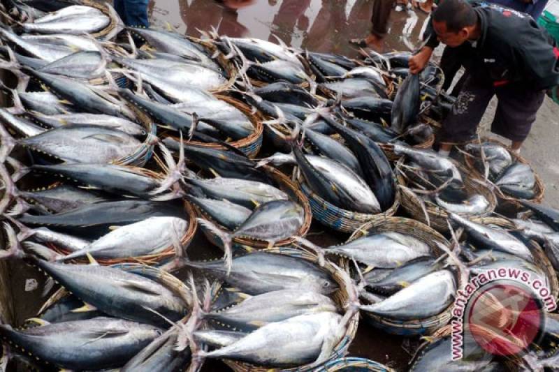 Pakistan to generate $200m through tuna fish exports