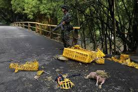 Four killed in Colombian border city as violence spikes ahead of vote