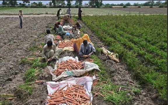 'Super El Nino' raises fears for Asia reeling from Middle East conflict