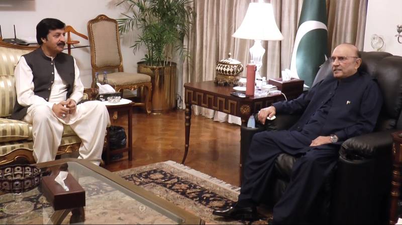 President Zardari, Punjab Governor Saleem Haider discuss provincial affairs, public issues