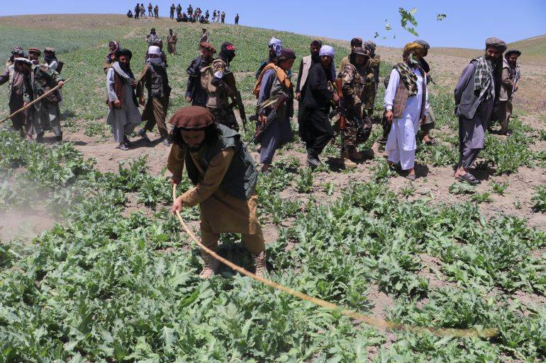 Two killed as clashes over poppy field destruction in Afghanistan