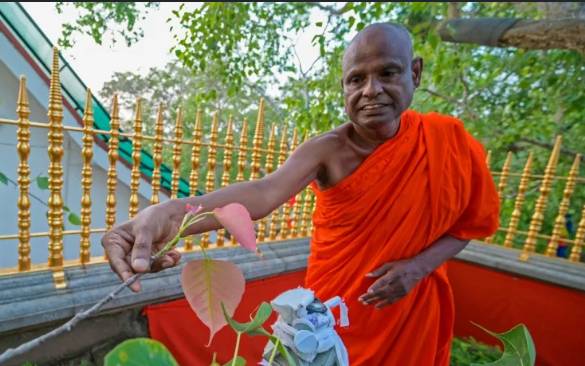 Top Sri Lankan Buddhist monk arrested over alleged sex abuse