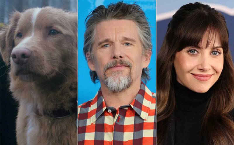 Who's a good boy? AI can't replace doggie actors, director says