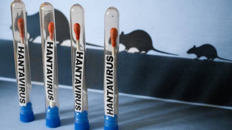Why hantavirus is not the new Covid, according to experts