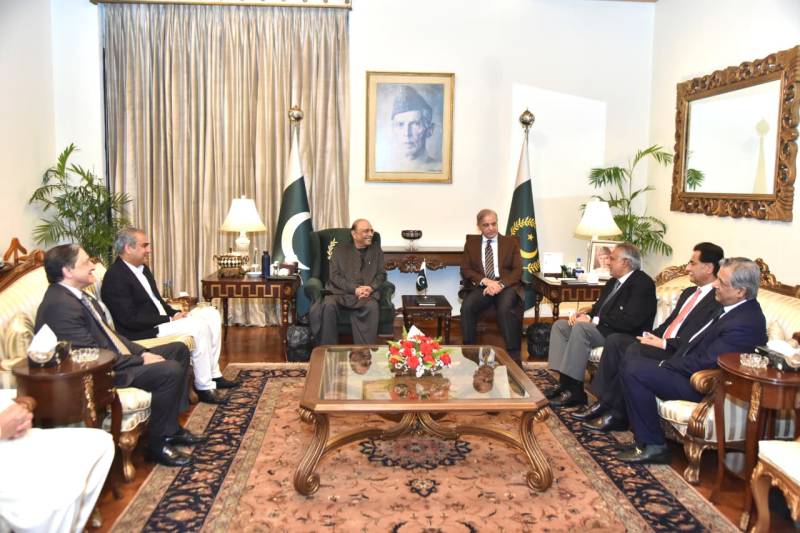 President Zardari, PM Shehbaz discuss domestic affairs, Afghanistan, regional situation