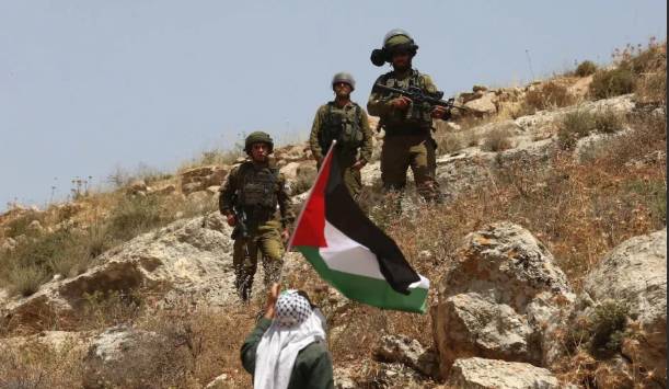Rights group warns of land grab in east Jerusalem registration drive