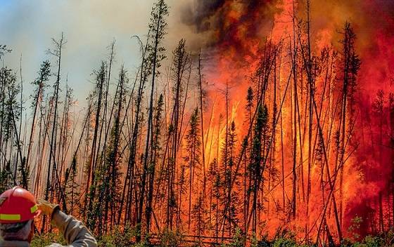 World risks year of severe fires fuelled by climate change: researchers